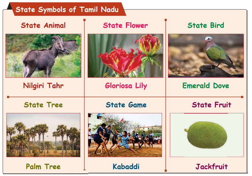 Symbols of Tamil Nadu